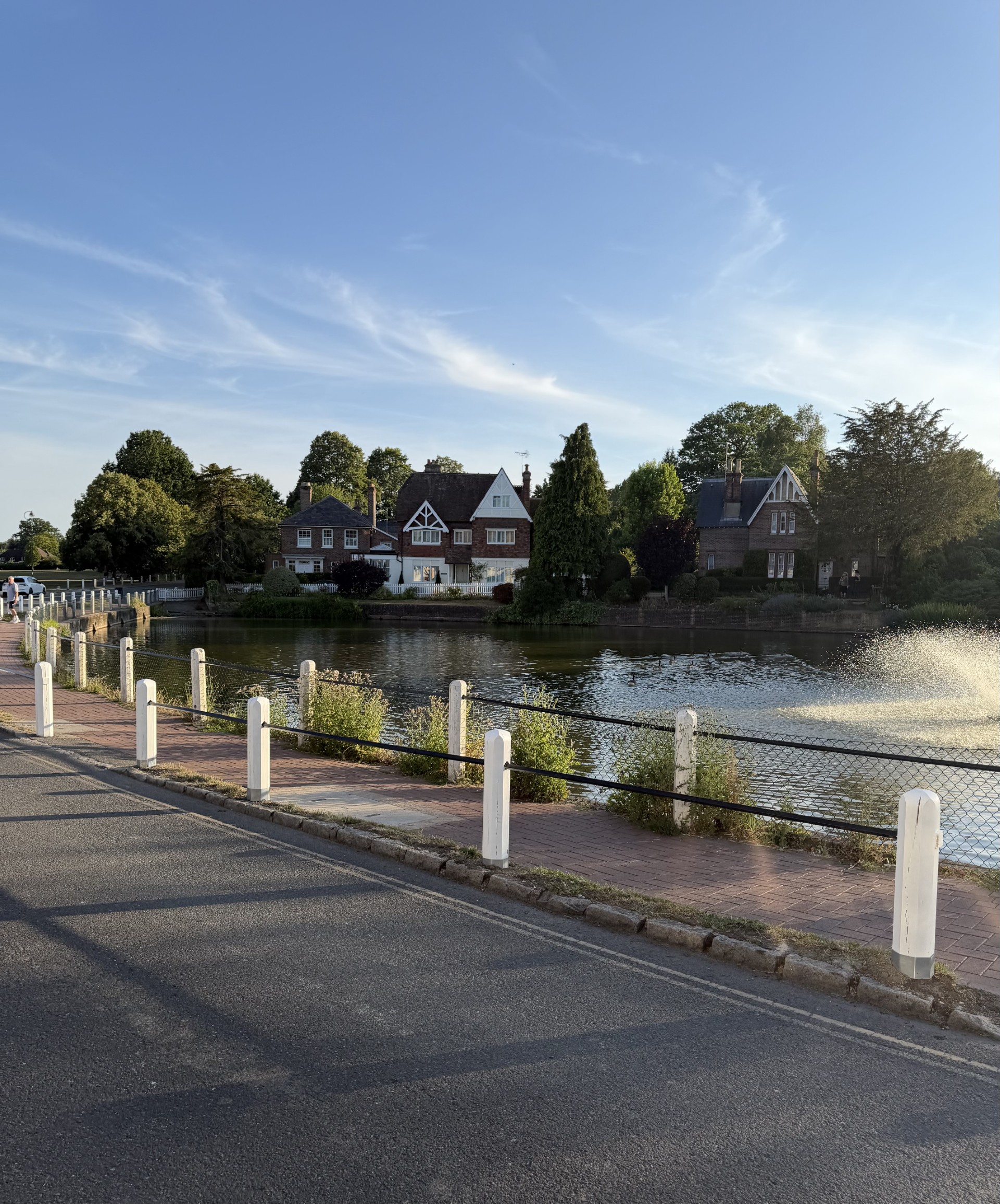Lindfield Pond posts and railings